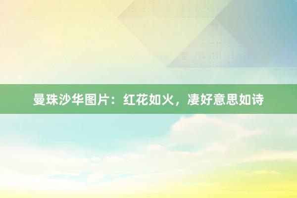 曼珠沙华图片：红花如火，凄好意思如诗