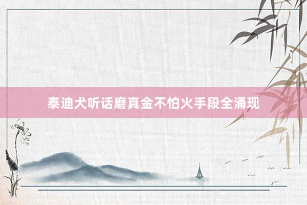 泰迪犬听话磨真金不怕火手段全涌现
