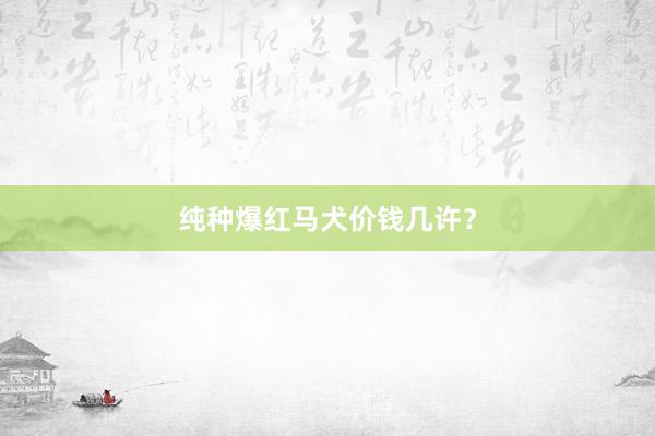 纯种爆红马犬价钱几许?