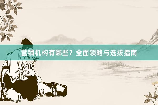 营销机构有哪些？全面领略与选拔指南