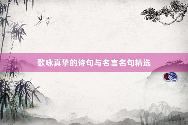 歌咏真挚的诗句与名言名句精选